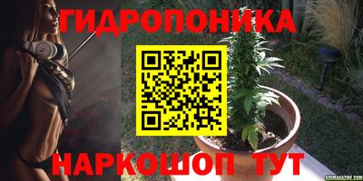 наркотики Камышлов