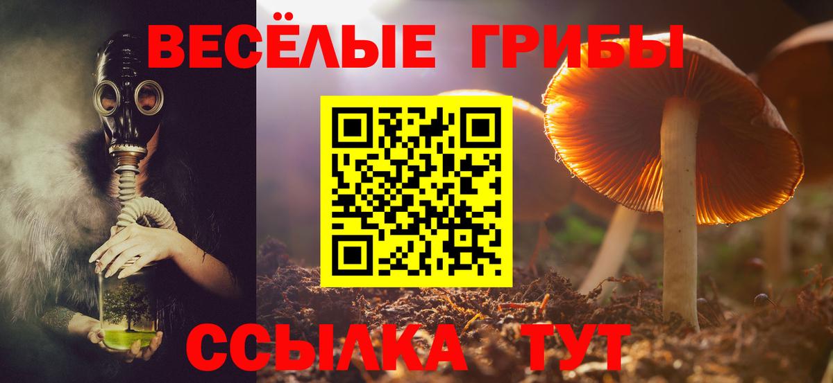 Псилоцибиновые грибы мицелий  Вход с VPN  Георгиевск  Галлюциногенные грибы Psilocybine cubensis 